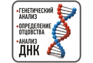 Анализ ДНК на установление отцовства