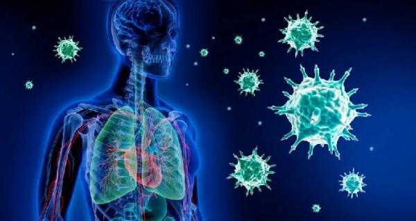 Очень хороший иммунитет может быть опасен при коронавирусе