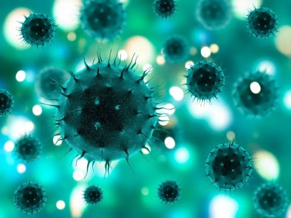 Ученые объяснили появление неизвестных человечеству вирусов