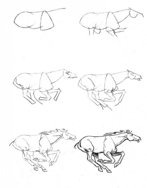 Как нарисовать лошадь поэтапно карандашом: уроки для детей